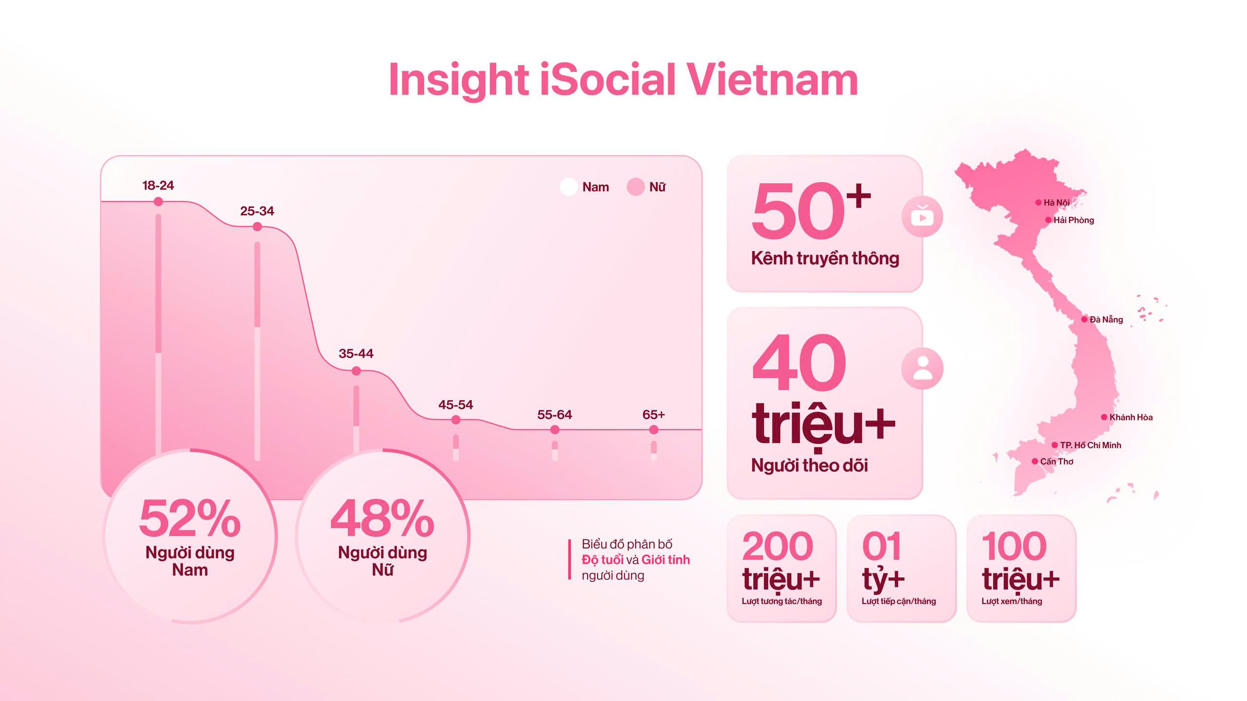 Insight iSocial Vietnam Infographic